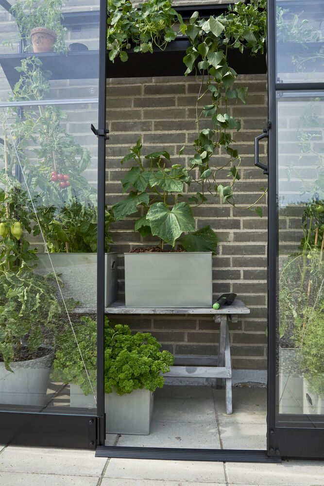 Halls Greenhouses QUBE LT 26 - Fundering - Zwart - 12x3x189 cm