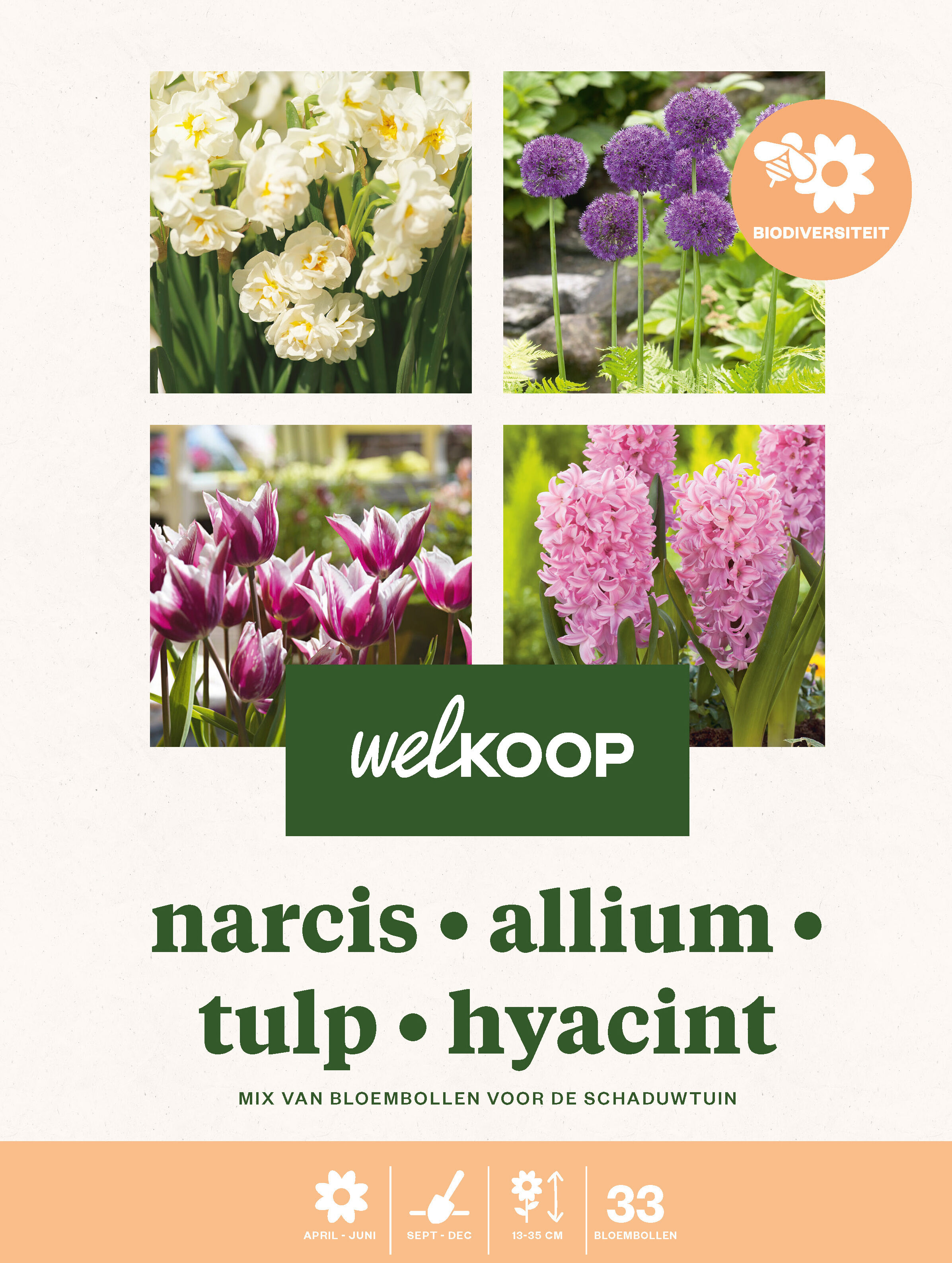 Welkoop Narcis Allium Tulp Hyacint - Biodiversiteit - Bloembollen Welkoop Narcis Allium Tulp Hyacint - Biodiversiteit - Bloembollen