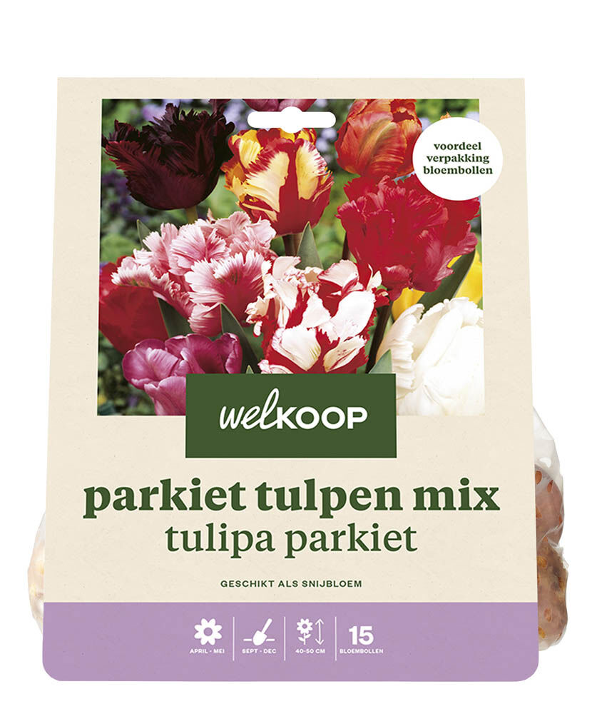 Welkoop Tulpen mix Eline - Bloembollen Welkoop Tulpen mix Eline - Bloembollen