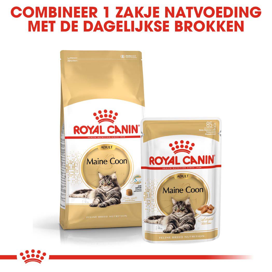 Royal Canin Maine Coon Adult - Kattenvoer - 10 - Gevogelte