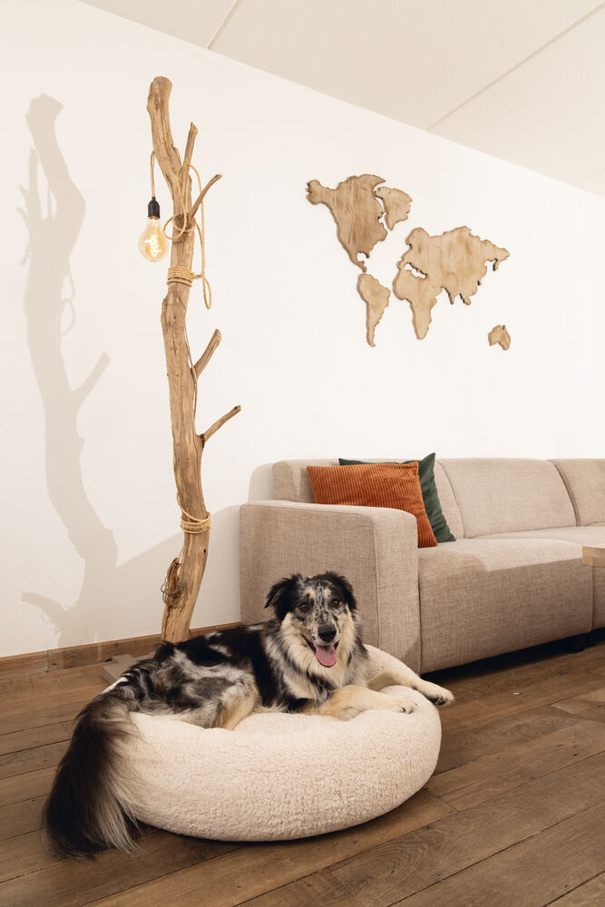 Beeztees Jaxx Orthopedisch - Hondenmand - beige - 20x50x50 cm - S