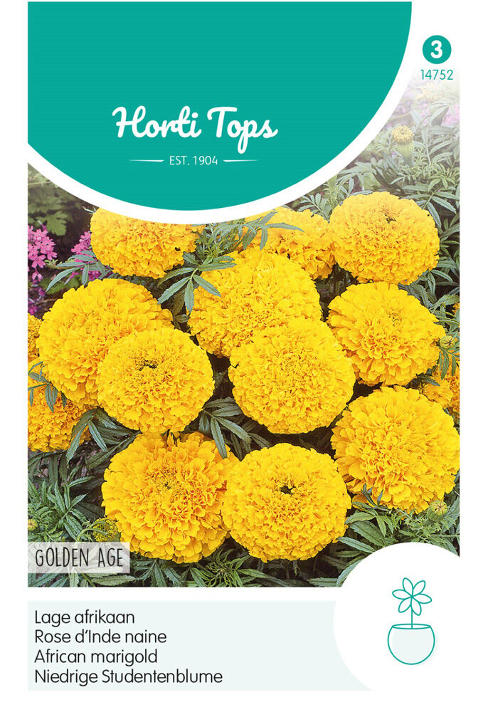 Hortitops Lage Afrikaan Golden Age - Bloemzaden Hortitops Lage Afrikaan Golden Age - Bloemzaden