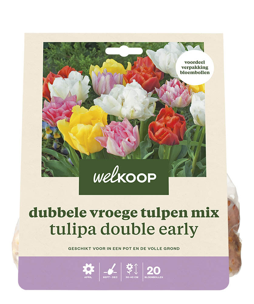 Welkoop Dubbele Tulpen mix  Ilona - Bloembollen Welkoop Dubbele Tulpen mix  Ilona - Bloembollen