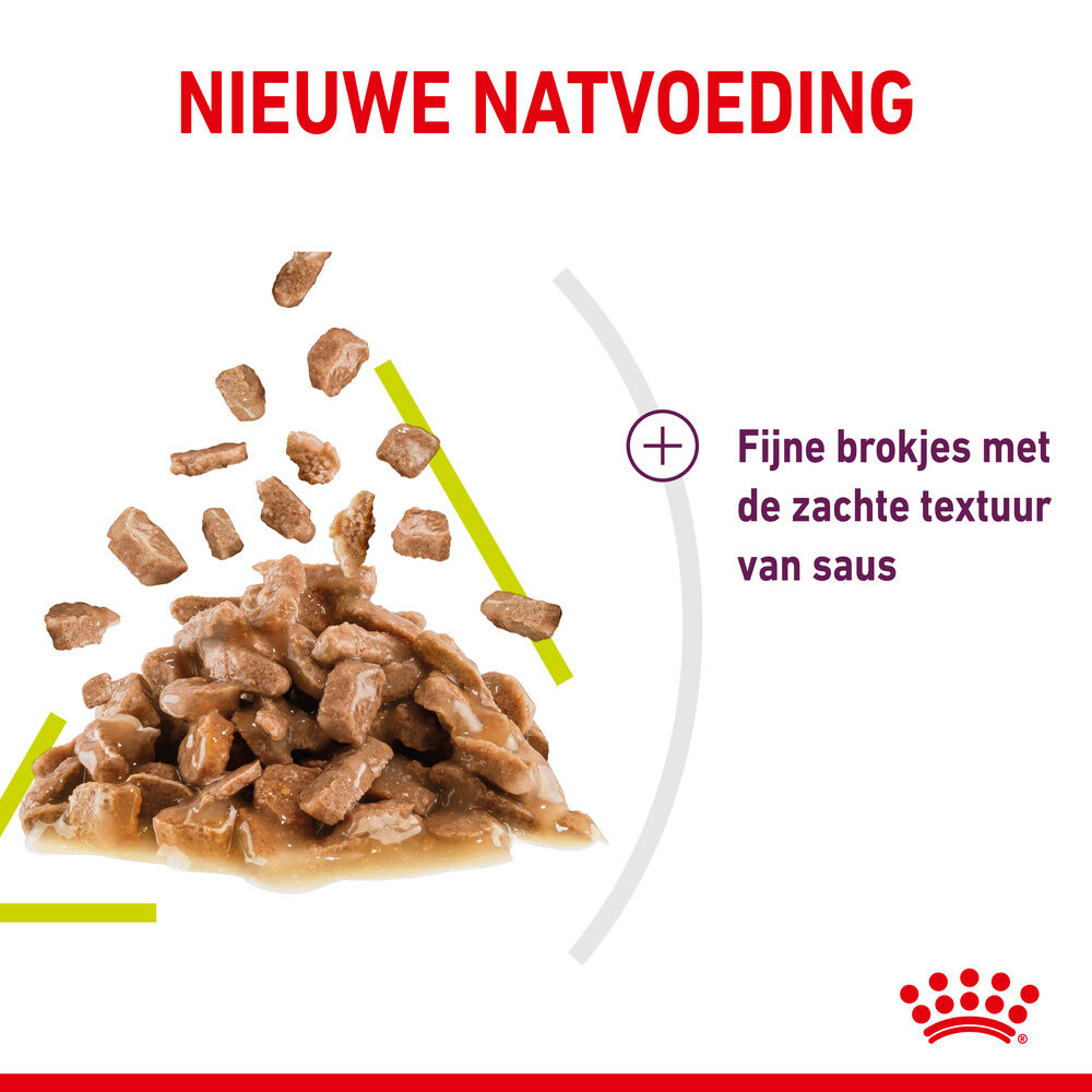 Royal Canin Sensory Smell - Kattenvoer - 1020