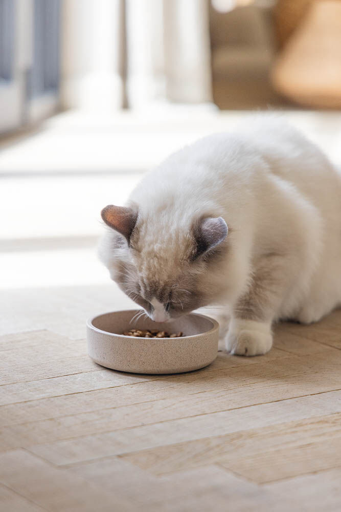 Designed by Lotte Noor - Voerbak - Beige - 4.50x12.00x12.00 cm