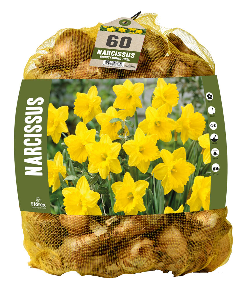 Florex Narcissen Voordeelverpakking  - Bloembollen Florex Narcissen Voordeelverpakking  - Bloembollen