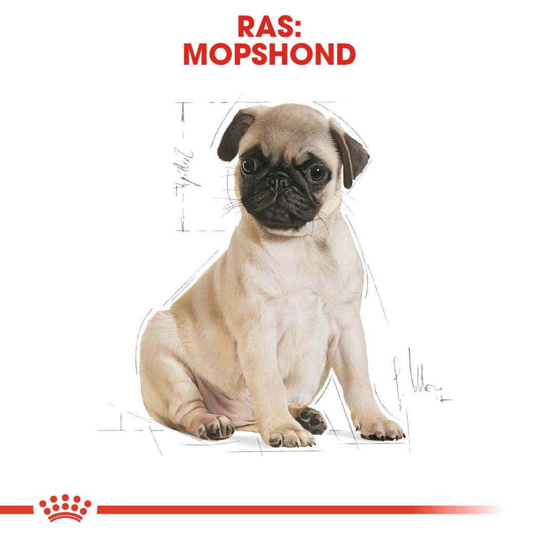 Royal Canin Mopshond Puppy - Hondenvoer - 1.5 - gevogelte