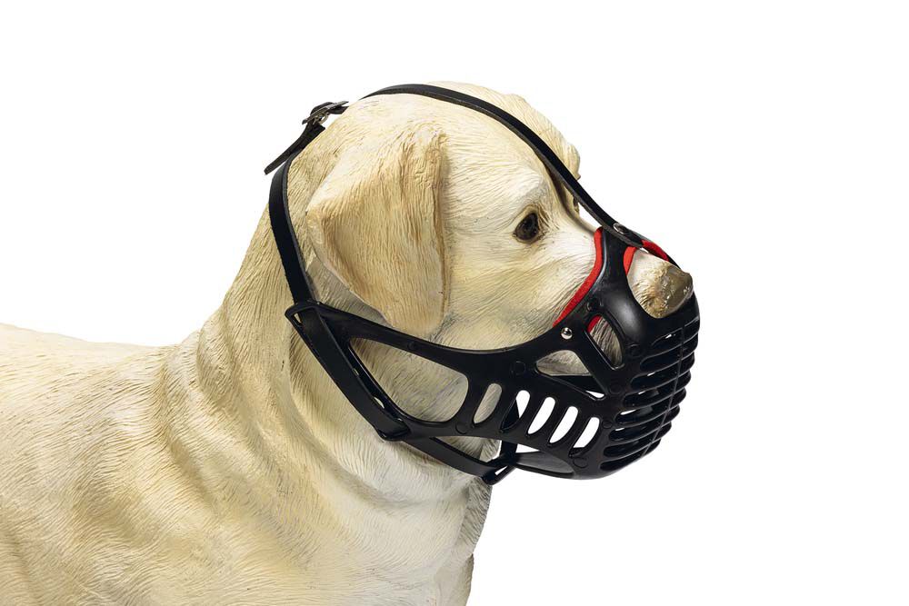 Karlie - Muilkorf - Hond met kort snuit - 1.00 cm - 1.00 cm - 1.00 cm