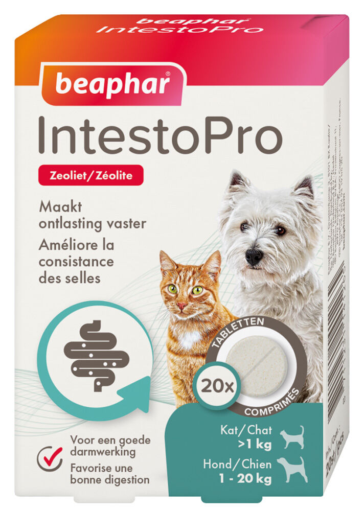 Beaphar IntestoPro Kat - Hond vanaf 20kg - Verlicht darmproblemen Beaphar IntestoPro Kat - Hond vanaf 20kg - Verlicht darmproblemen