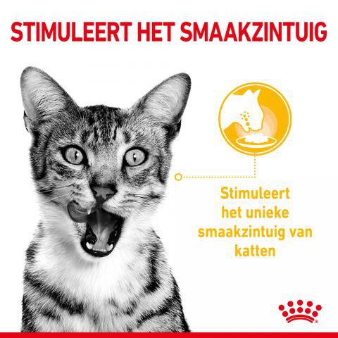Royal Canin Sensory Multipack - Kattenvoer - 1020