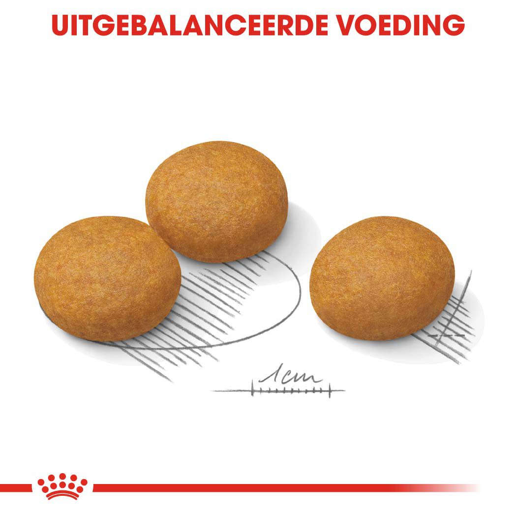 Royal Canin Maxi Dermacomfort - Hondenvoer - 3 - gevogelte
