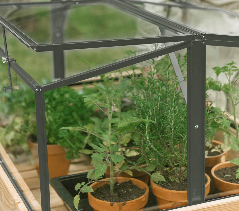 Royal Well Parsly Planter - Broeikas - 60.00 cm - Groen - Veiligheidsglas - 80.00 cm - 46.00 cm