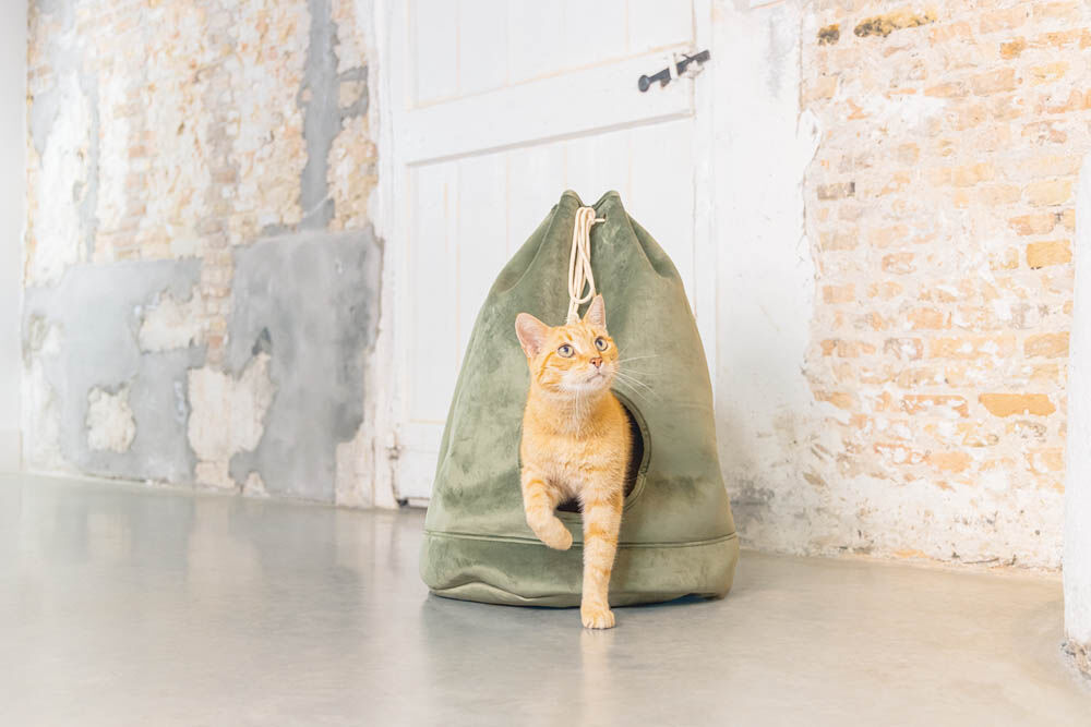 Designed by Lotte Vilar - Kattenhuis - 60.00 cm - Groen - 45.00 cm - 45.00 cm