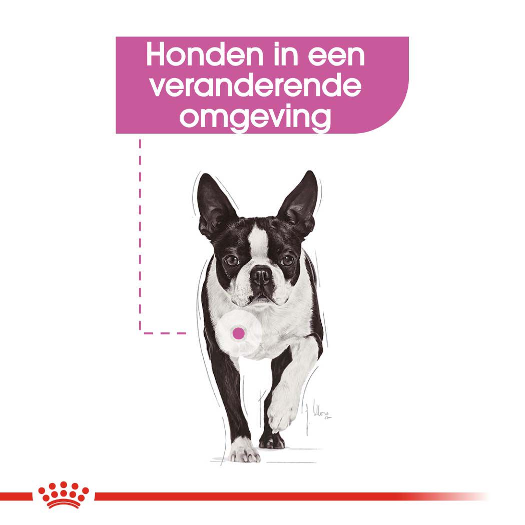 Royal Canin Relax Care Wet - Hondenvoer - 1020 - gevogelte