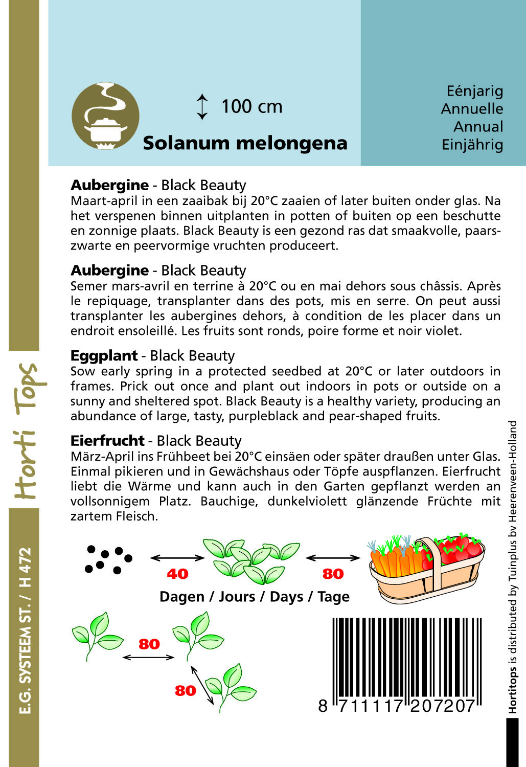 Hortitops Aubergine Black Beauty Solanum melongena - Groentezaden