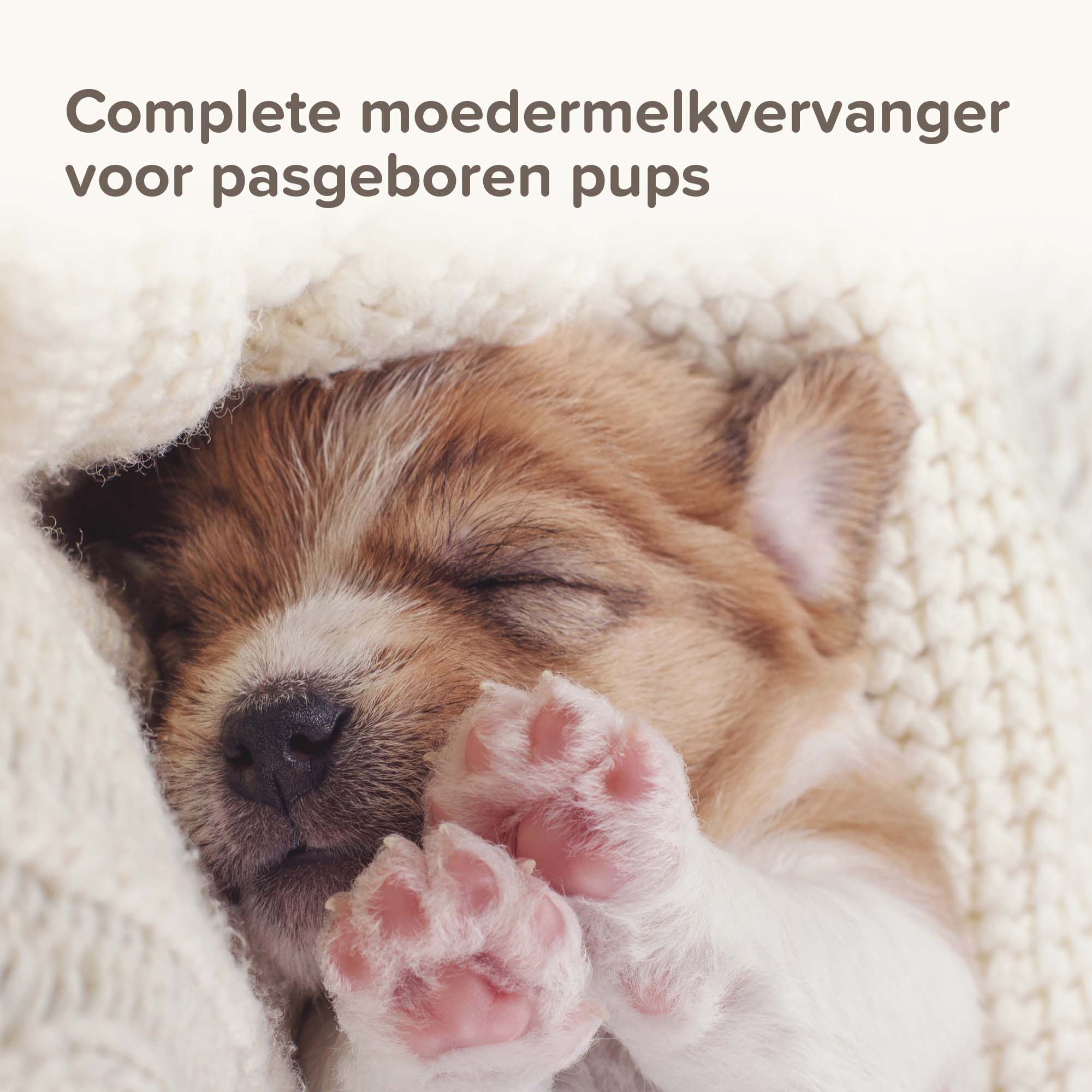 Beaphar Lactol - Puppy Milk - 250