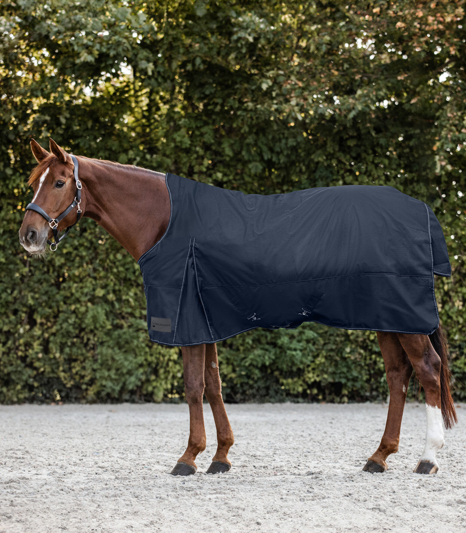 Waldhausen Nordic Hoge nek 200 gr - Winterdeken - Paardendeken - 1.00 cm - Blauw - 1.00 cm - 125/175 - 1.00 cm