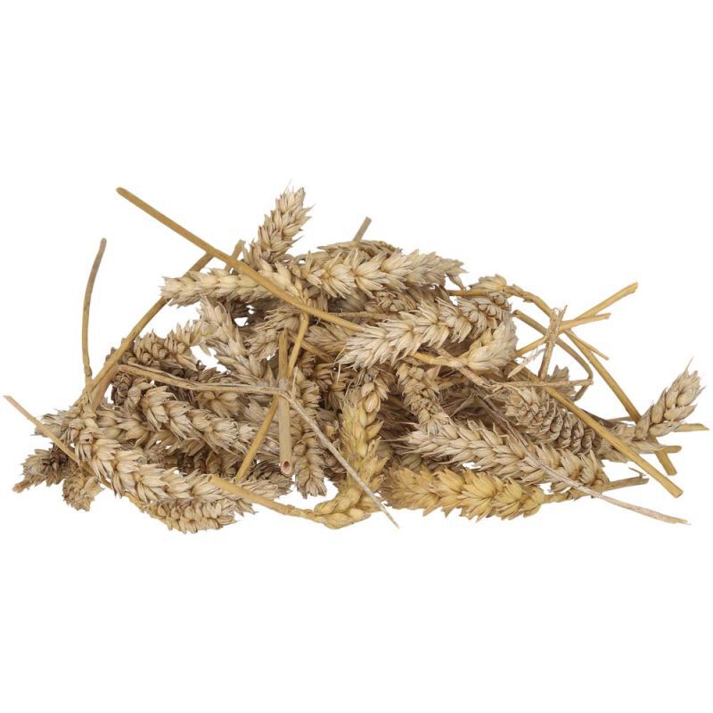 Welkoop Tarwe aren - Kippensnack - 800