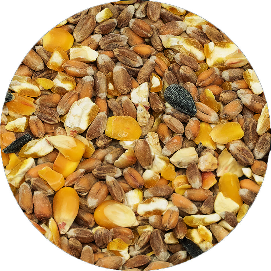 Welkoop Gemengd graan Biologisch - Kippenvoer - 12.5