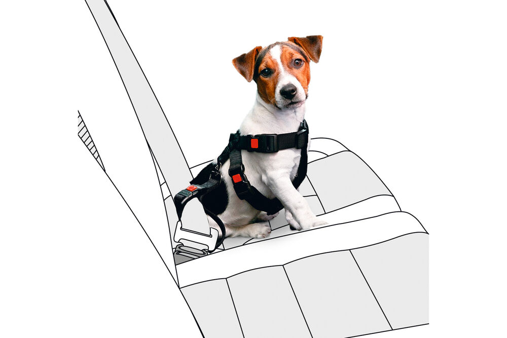 Karlie - Autoharnas Hond - zwart - 20 mm - 35 tot 50 cm - 50 cm Karlie - Autoharnas Hond - zwart - 20 mm - 35 tot 50 cm - 50 cm