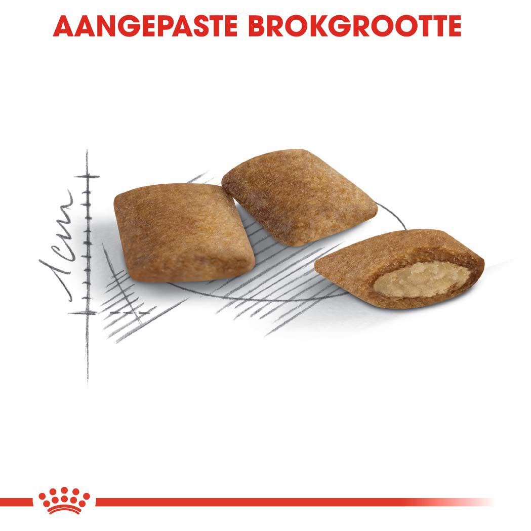 Royal Canin Ageing +12 - Kattenvoer - 2 - Gevogelte