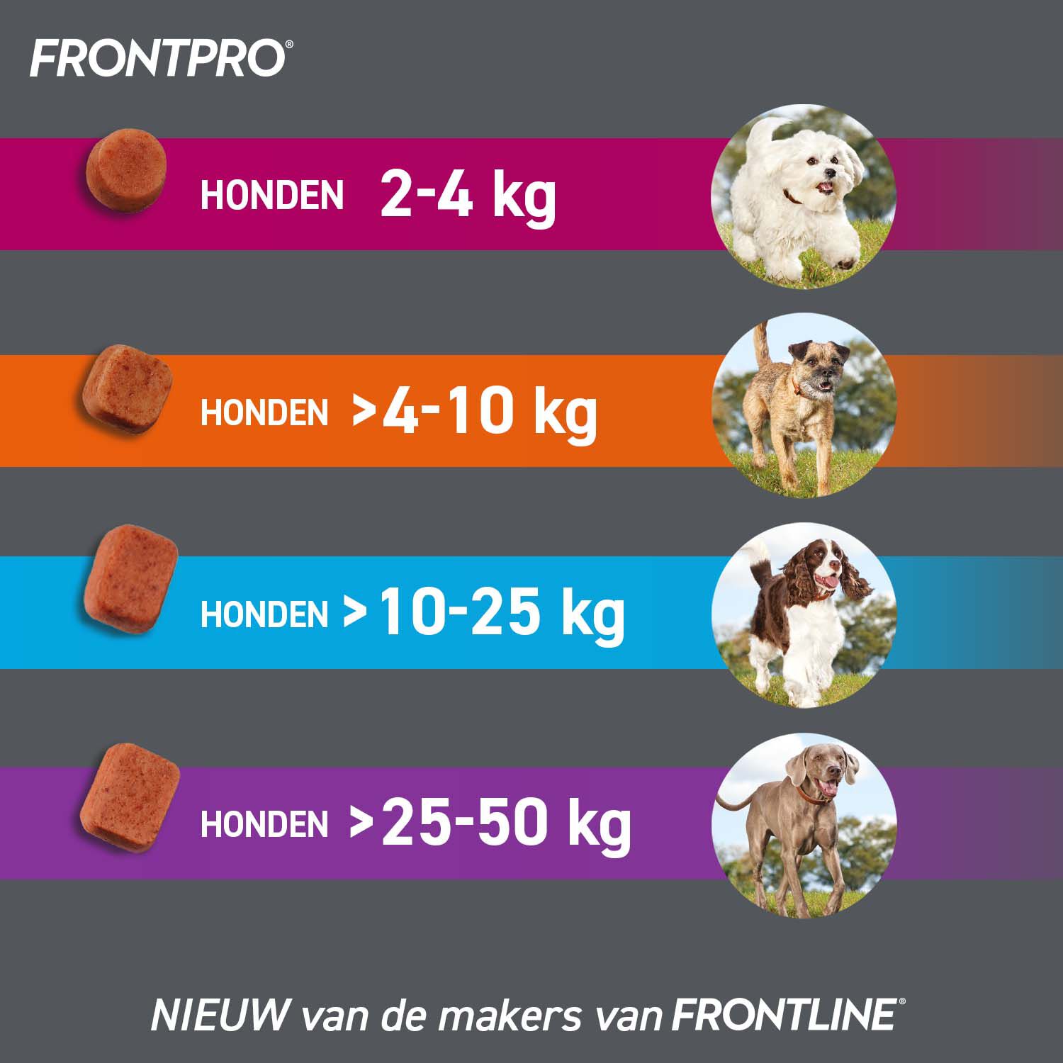 Frontpro Kauwtablet - Anti Vlooien en teken Hond - S - S