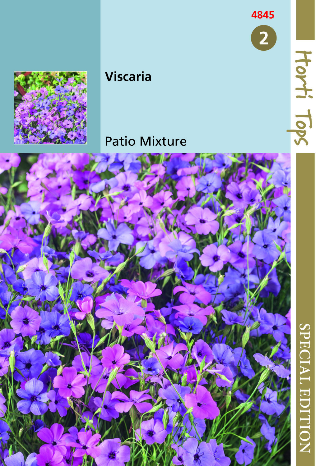 Hortitops Viscaria Patio mix Viscaria oculata - Bloemzaden Hortitops Viscaria Patio mix Viscaria oculata - Bloemzaden