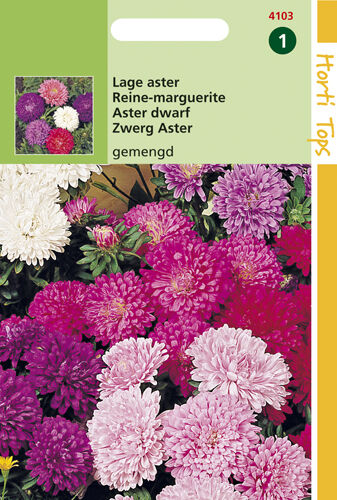 Hortitops Lage Aster Mixed - Bloemzaden Hortitops Lage Aster Mixed - Bloemzaden