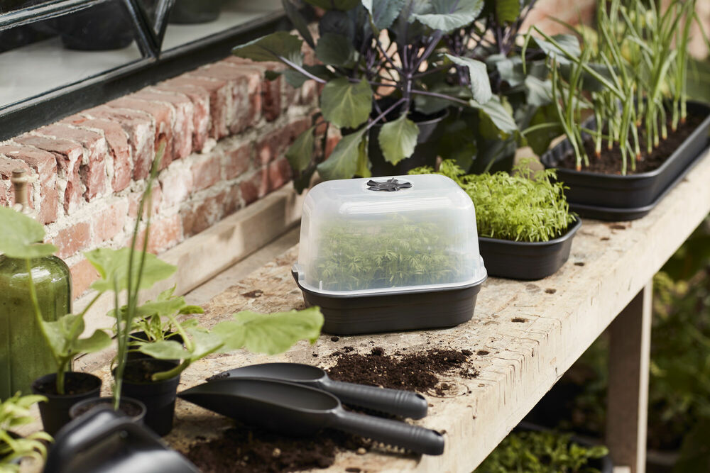 Elho Green Basics kweektray 24x17 cm - Kweekbenodigdheden - 6x17x24 cm