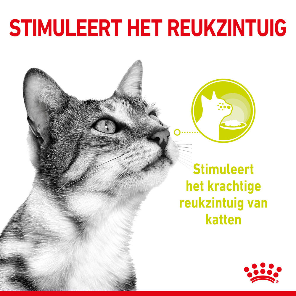 Royal Canin Sensory Smell - Kattenvoer - 1020
