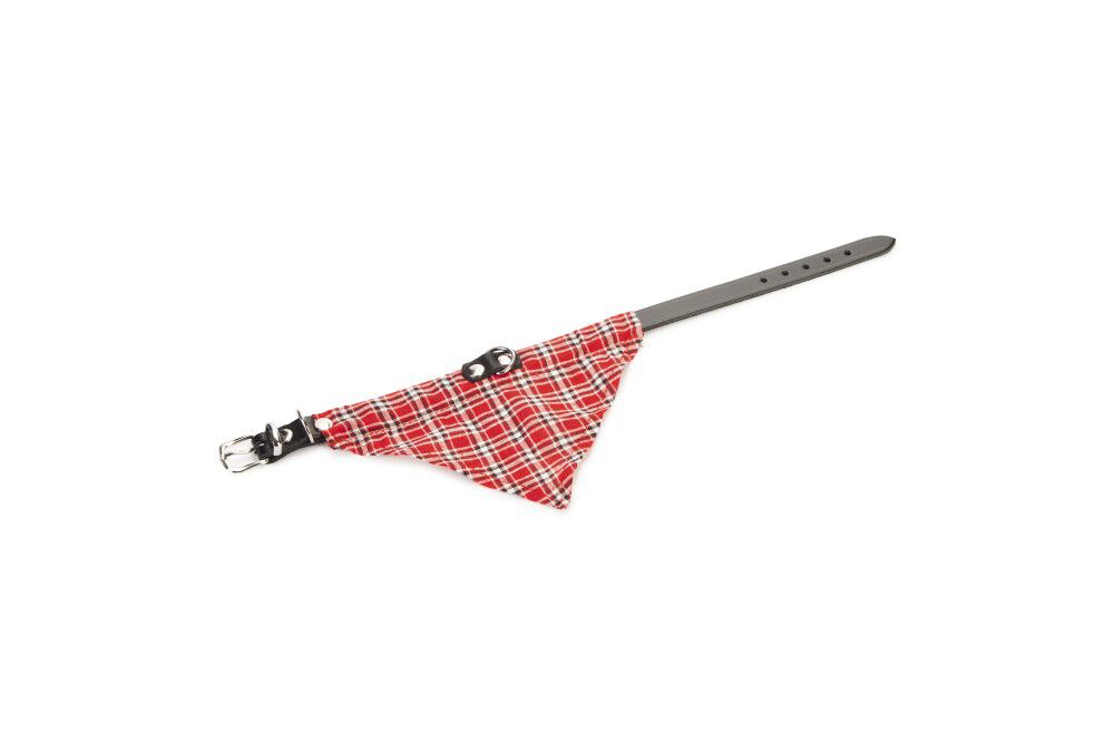 Beeztees - Halsband Hond Beeztees - Halsband Hond