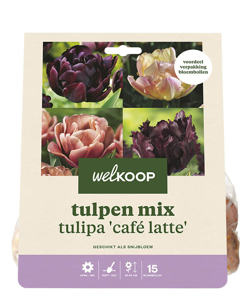 Welkoop Tulpen mix Evanita - Bloembollen Welkoop Tulpen mix Evanita - Bloembollen