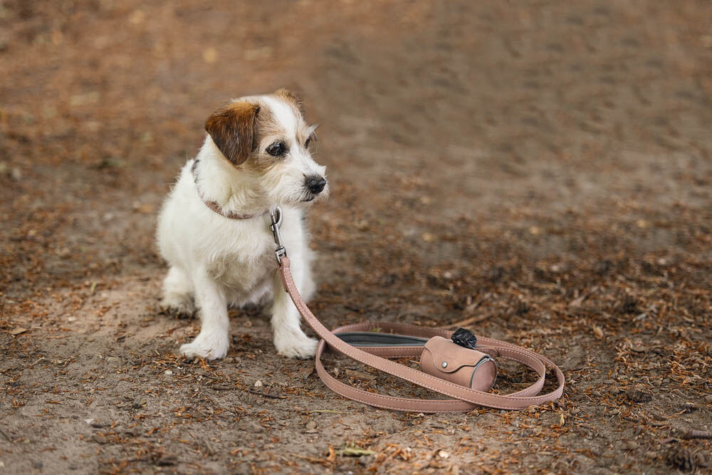 Beeztees Balacron - Poepzakhouder Hond - roze