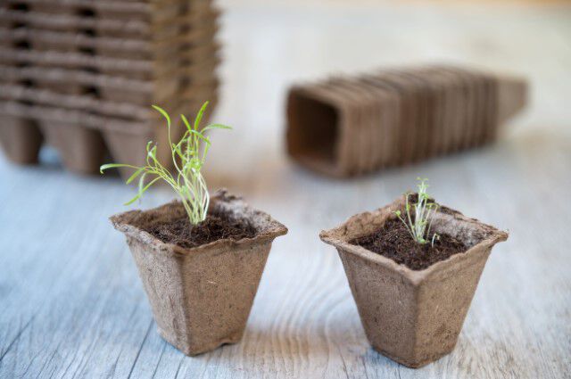 Nature - Turfpotjes - 14 Stuks - 28.00 cm - 8.00 cm - 28.00 cm