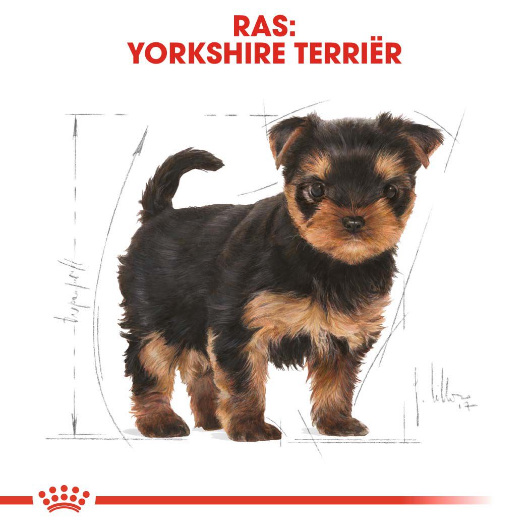 Royal Canin Yorkshire  Terrier Puppy - Hondenvoer - 1.5 - gevogelte