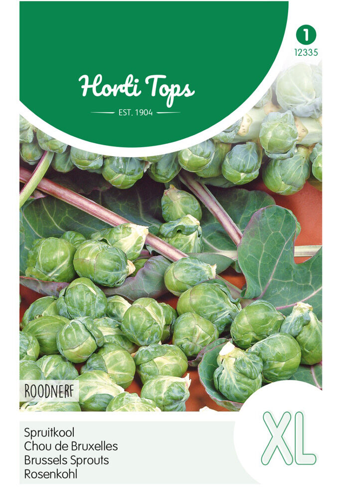 Hortitops Spruitkool Brassica oleracea Roodnerf - Kool Hortitops Spruitkool Brassica oleracea Roodnerf - Kool