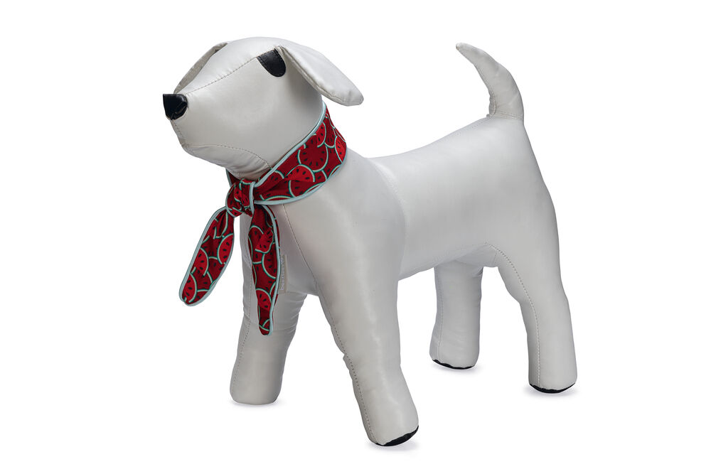 Beeztees Quick Cooler Meloenie - Halsband Hond Beeztees Quick Cooler Meloenie - Halsband Hond
