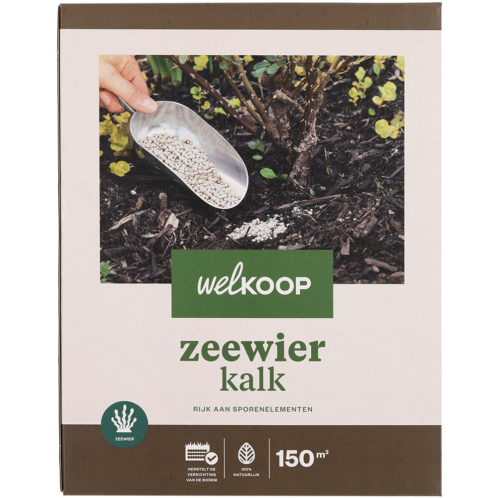 Welkoop - Zeewierkalk - 150 m2 - 4