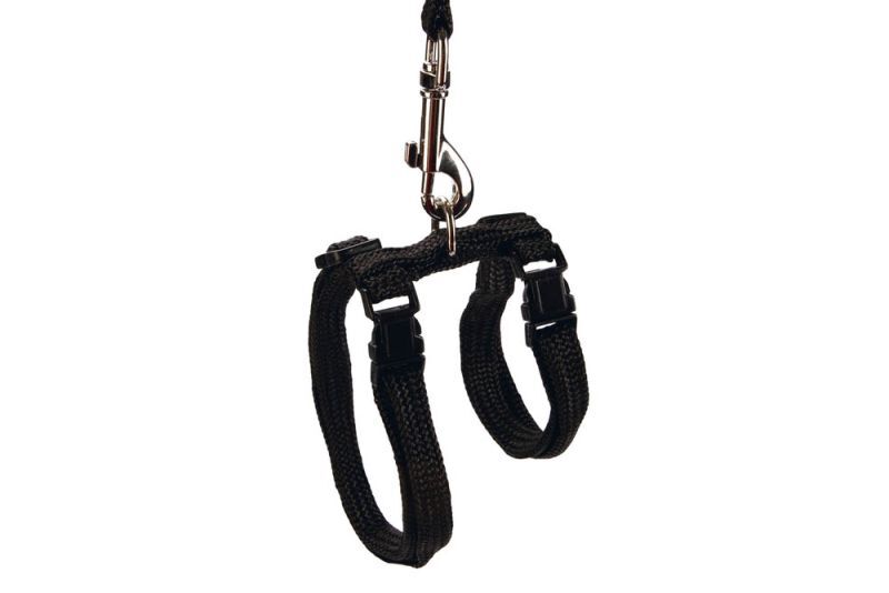 BEEZTEES - Kattentuigje - Zwart - 10 mm - 100 cm