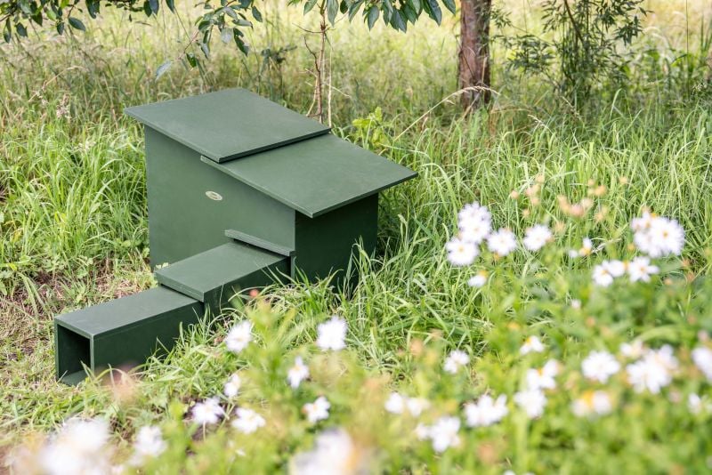 CJ Wildlife  Deluxe - Egelhuis - 61.00 cm - Groen - 40.50 cm - 51.00 cm