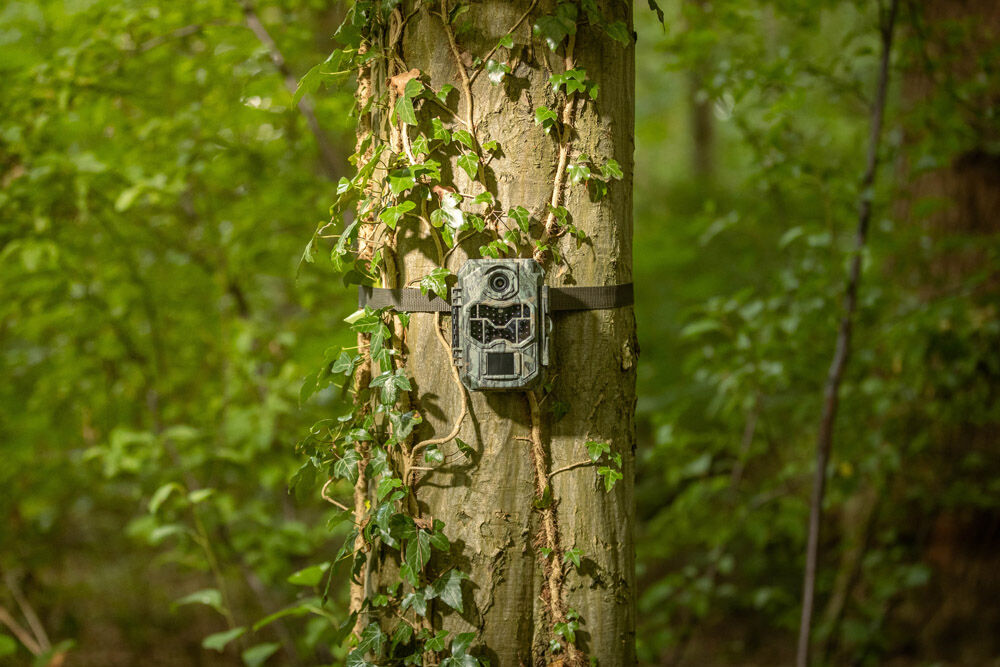 Camouflage EZ2 Ultra - Wildcamera - 7.2x10.3x14 cm