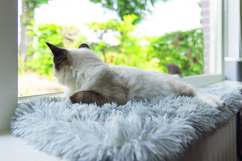 Beeztees Blizz Kitten - Vensterbankmat - Grijs - 65x65x3 cm