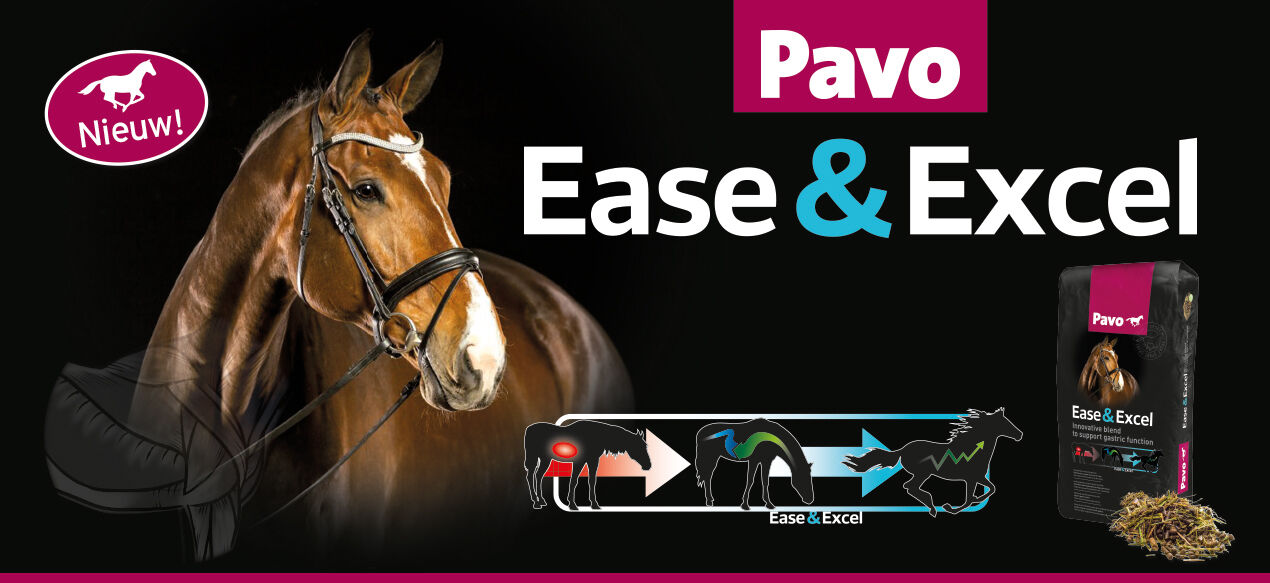 Pavo Ease&Excel - Sport/Prestatie - Paardenvoer - 3 - Zak