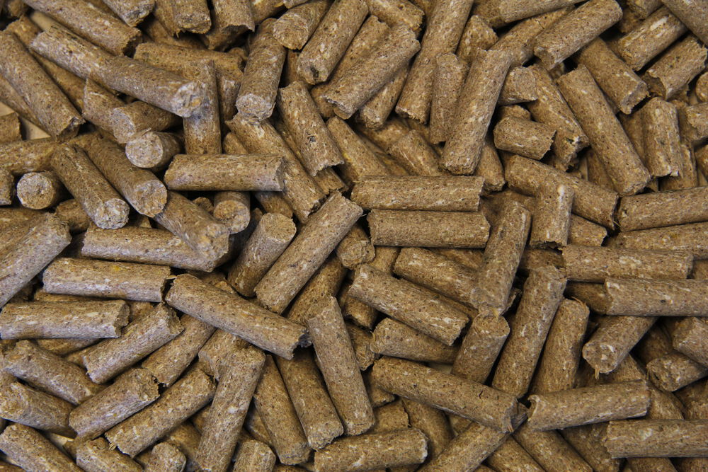 Voermeesters Triomf - Sport/ Prestatie - 20 kg - Zak