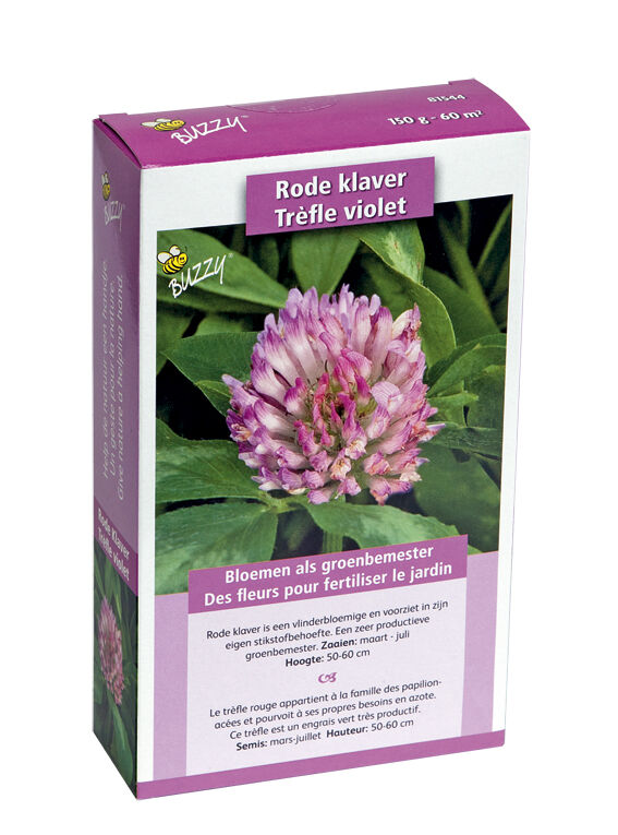 Buzzy Afrikaantje Tagetes - Groenbemester