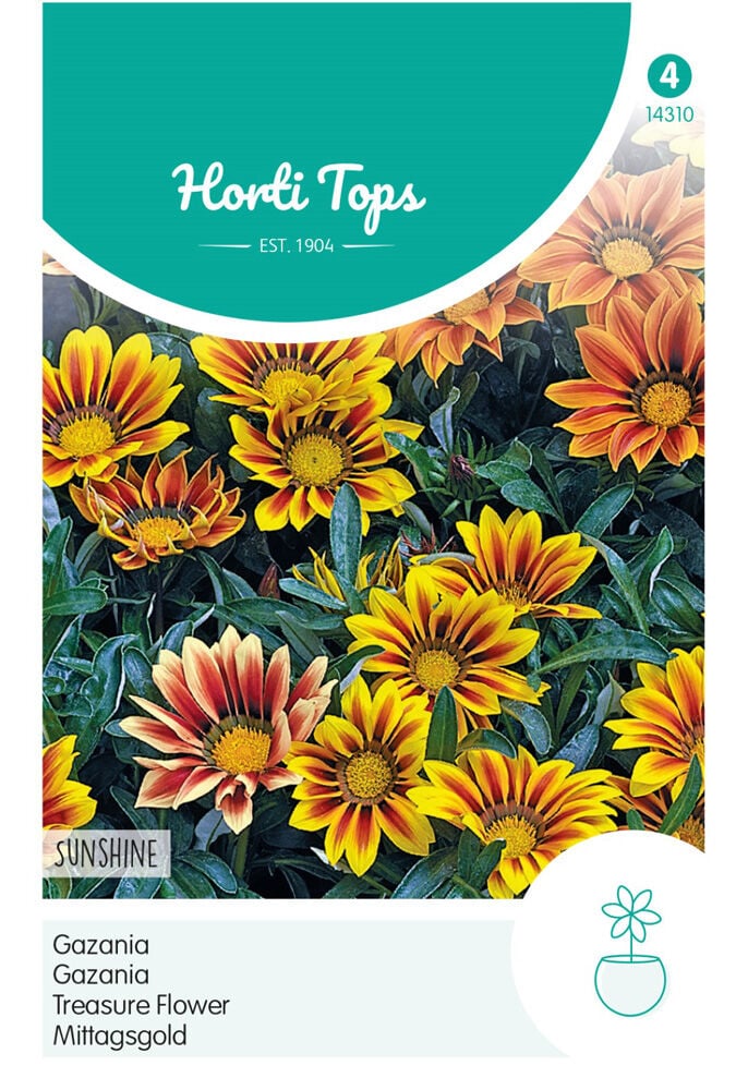 Hortitops Gazania Sunshine - Bloemzaden