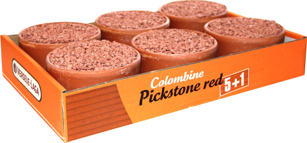 Colombine Piksteen  - Duiven supplement Colombine Piksteen  - Duiven supplement