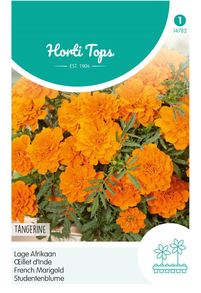 Hortitops Lage Afrikaan Tangerine - Bloemzaden Hortitops Lage Afrikaan Tangerine - Bloemzaden