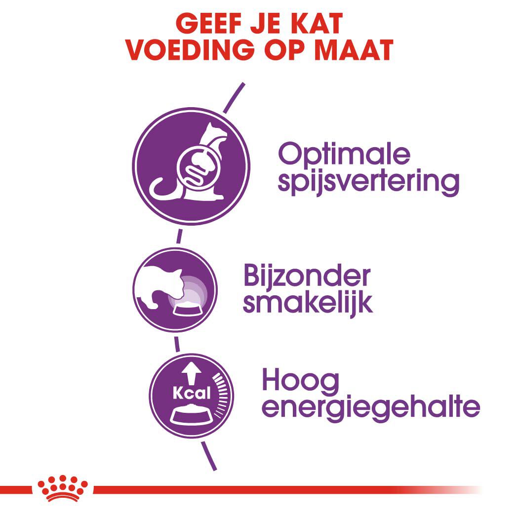 Royal Canin Sensible 33 - Kattenvoer - 10 - Gevogelte