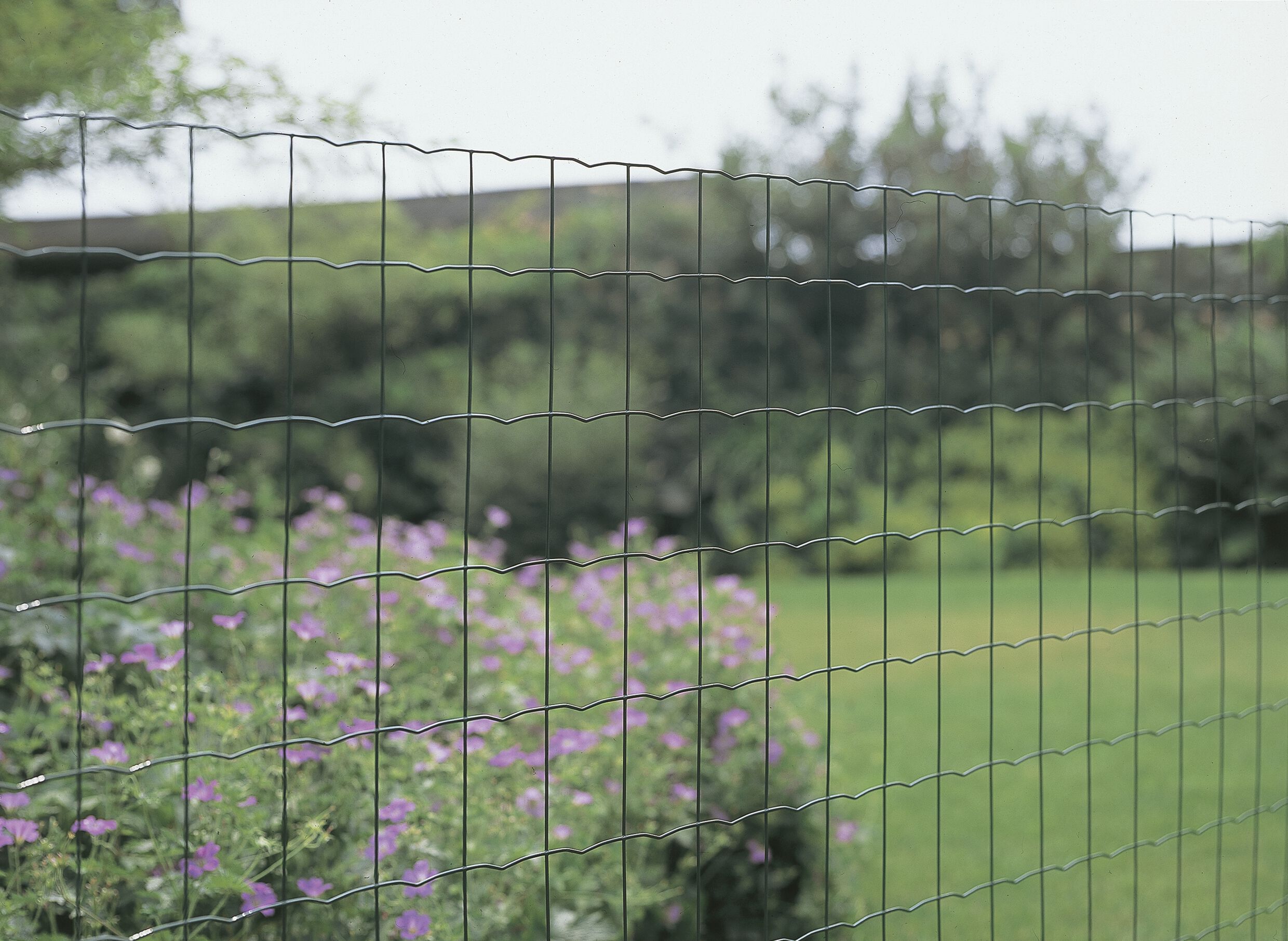 Betafence - Pantanet Light - Gelast tuingaas - Groen - 60 cm - 250 cm